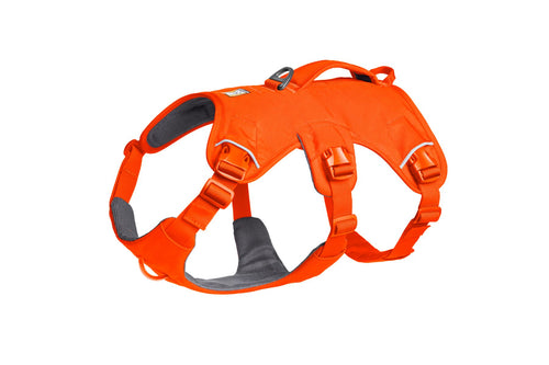 Web Master Harness Blaze Orange (2025)