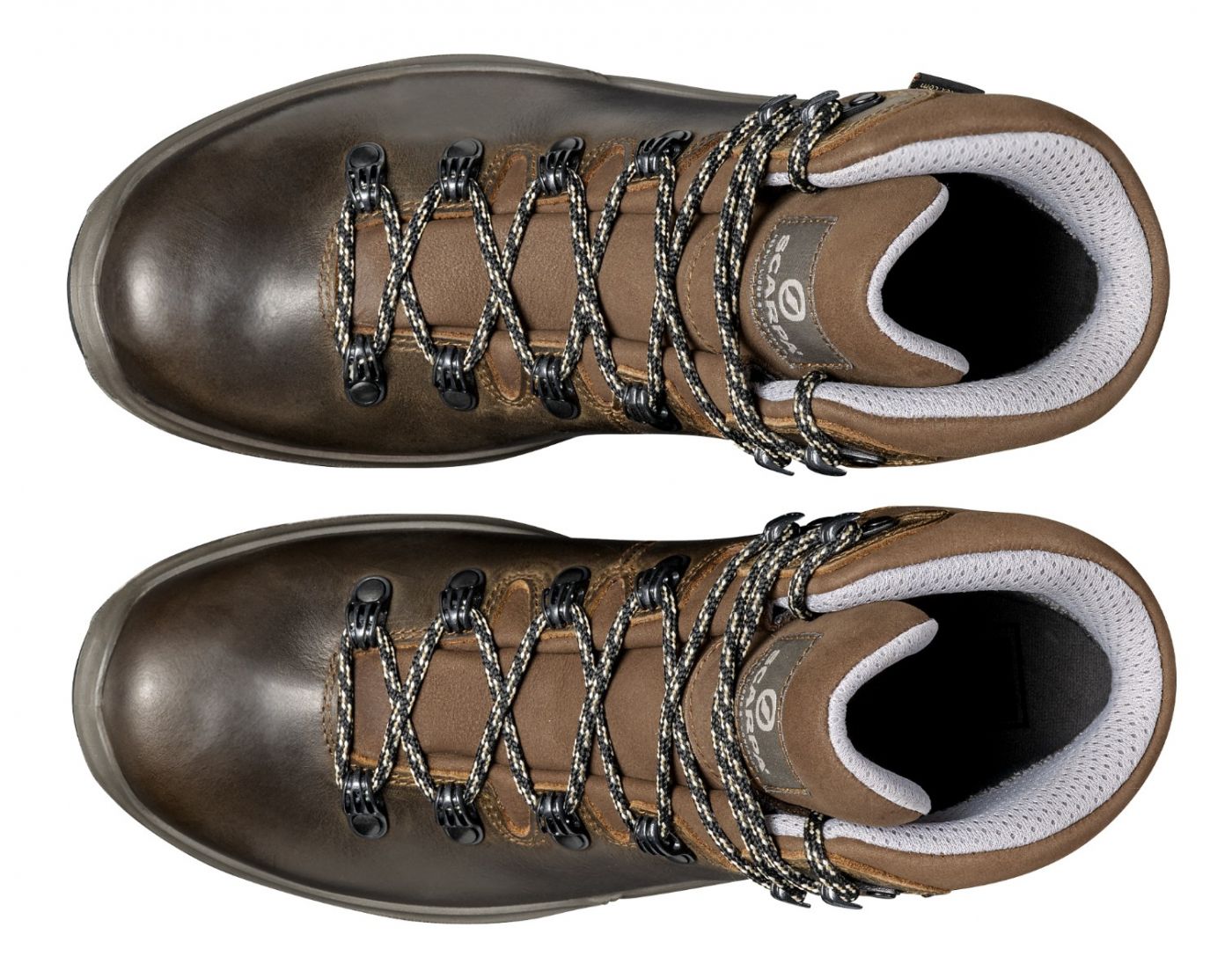 Terra GTX Brown