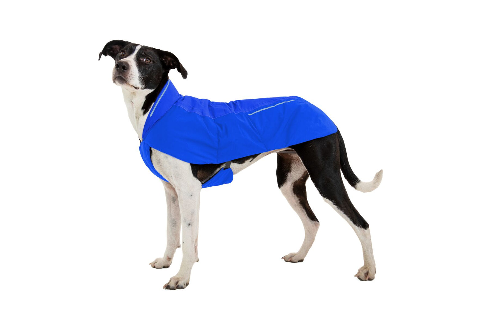 Vert Jacket Blue Pool RUFFWEAR RUFFWEAR   