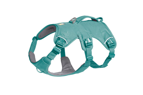 Web Master Harness River Rock Green