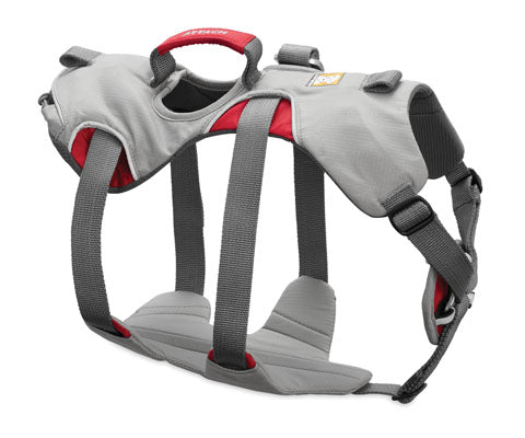 DoubleBack Harness Cloudburst Gray The Frontier Adventure at